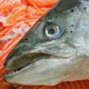 Illustration for article titled You Could Be Eating Genetically Engineered Frankenfish Without Even Knowing It
